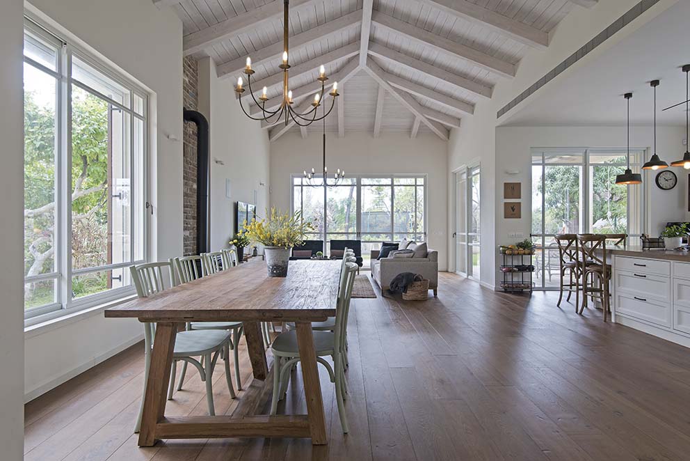 צילום: שי אדם