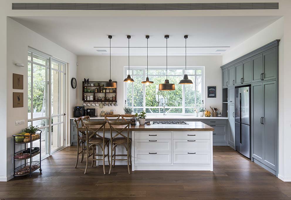 צילום: שי אדם