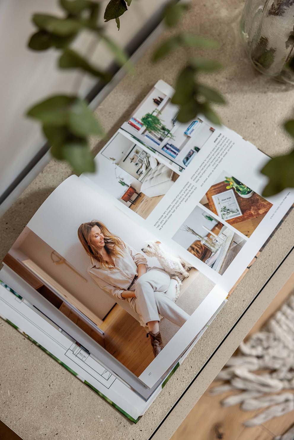 עיצוב פנים, ספר עיצוב, ניהול סושיאל למעצבים