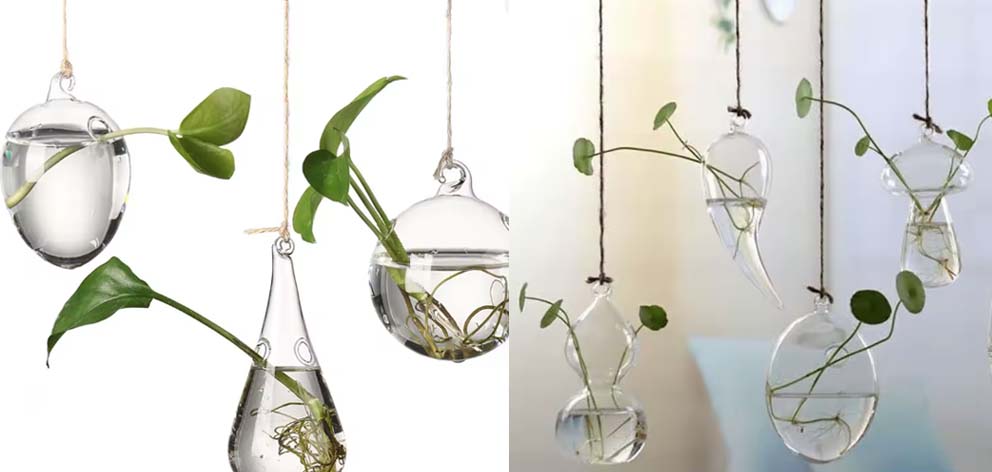 בחירות המערכת, עיצוב פנים, צמחים