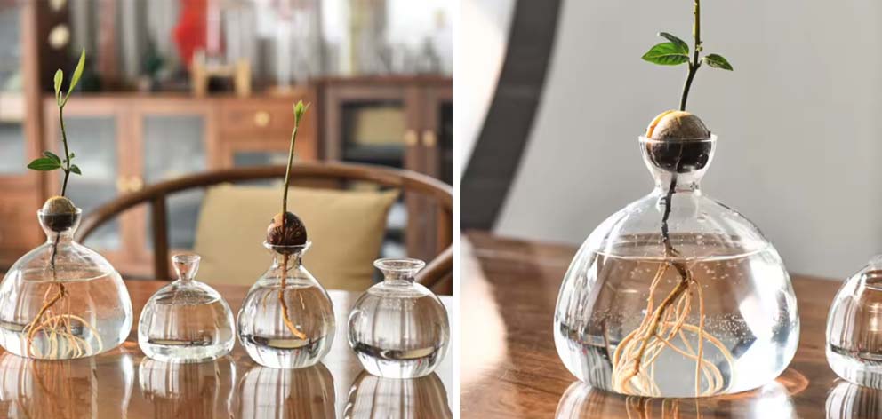 בחירות המערכת, עיצוב פנים, צמחים