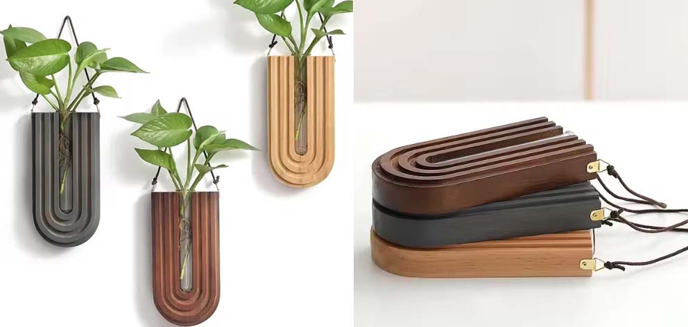 בחירות המערכת, עיצוב פנים, צמחים