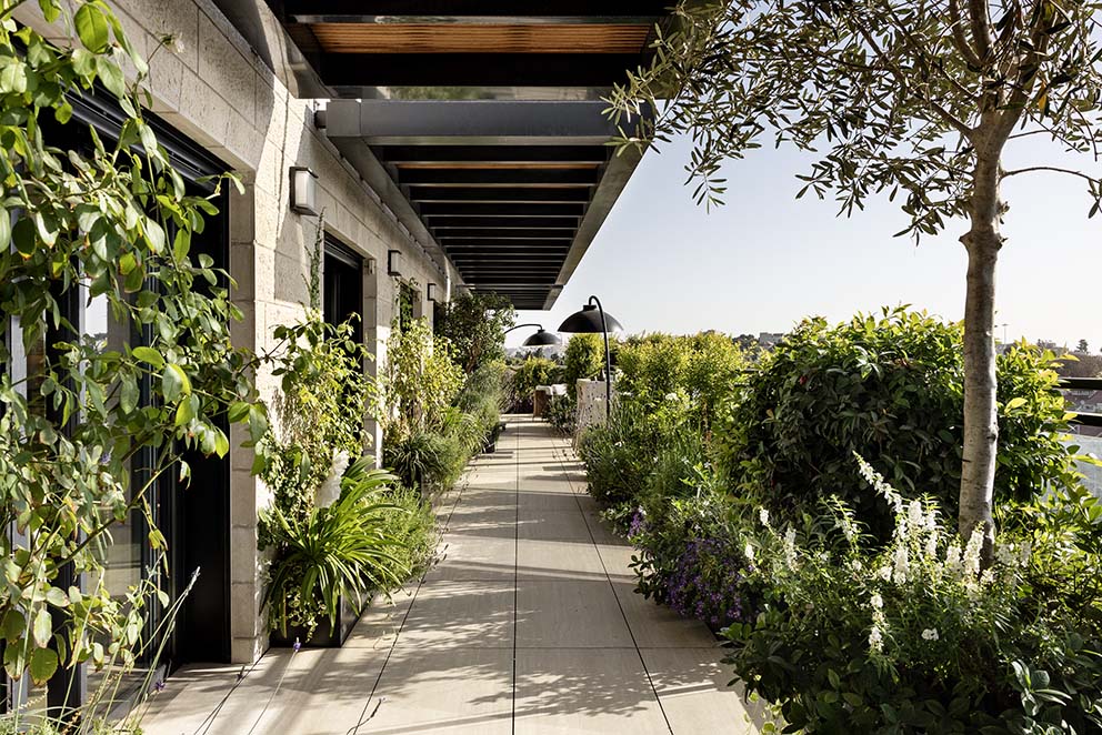 פנטהאוז בירושלים בעיצוב פנינית שרת גינה על הגג