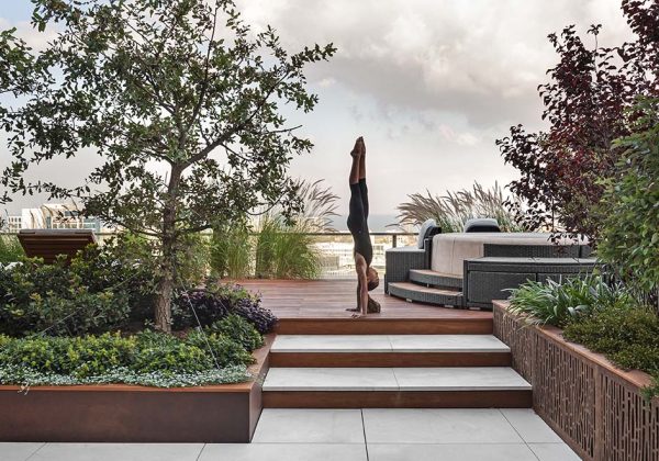 גינה על הגובה / שי דוד